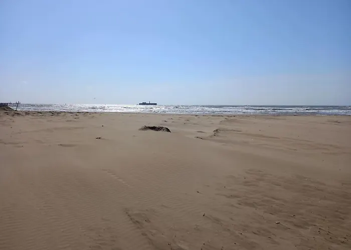 Primavera 115, T2 Avec Piscine, Parking A 300m *