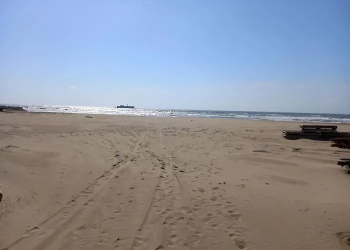 Primavera 115, T2 Avec Piscine, Parking A 300m *