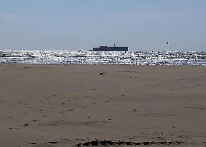 Lejlighed Primavera 115, T2 Avec Piscine, Parking A 300m Agde