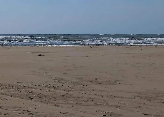 Primavera 115, T2 Avec Piscine, Parking A 300m *