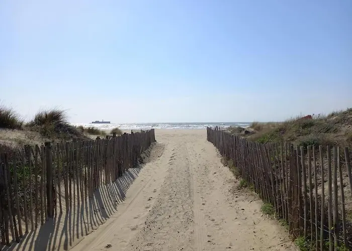 Primavera 115, T2 Avec Piscine, Parking A 300m *